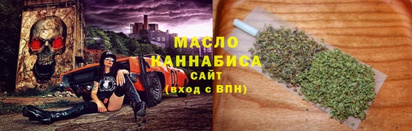 гидра Верея