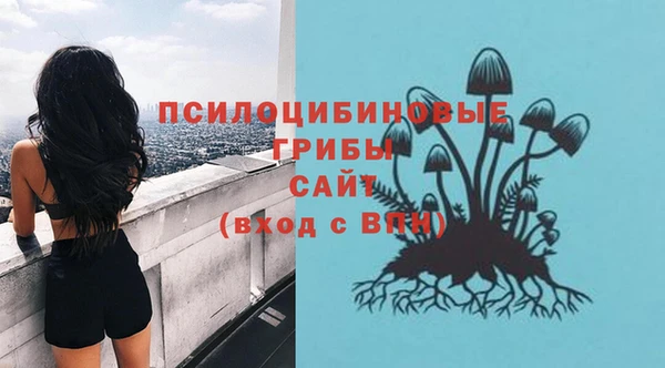 соль курить ск Верхний Тагил