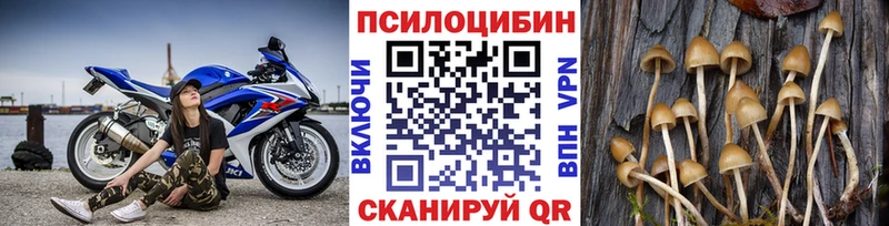 Галлюциногенные грибы Cubensis  Полтавская 